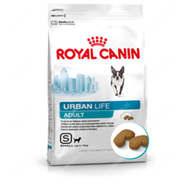 Royal canin urban clearance life