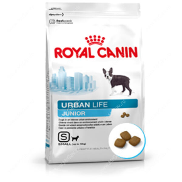 Royal canin shop urban life junior