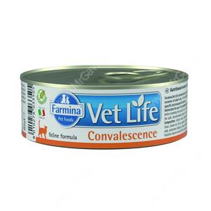 Консервы Farmina Vet Life Convalescence Cat, 85 г