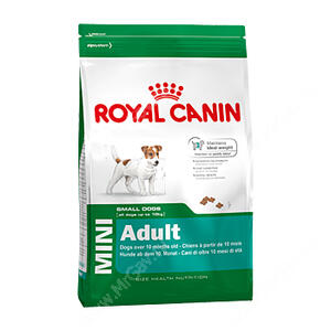 Adult mini royal canin best sale