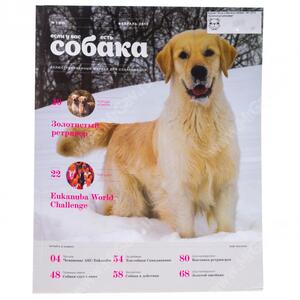 Журнал "Если у Вас есть собака": №1 2013 "Золотистый ретривер"