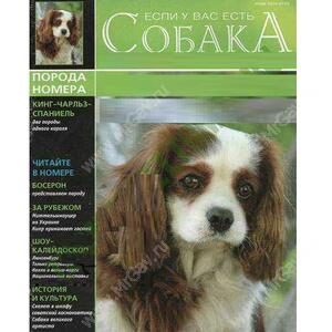 Журнал "Если у Вас есть собака": №3 2008 "Кинг-чарльз спаниель"