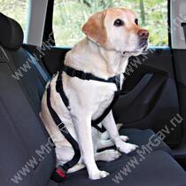 Автомобильный ремень безопасности для собак Trixie, 70-90 см