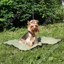 Охлаждающий коврик для собак, 50 см*70 см